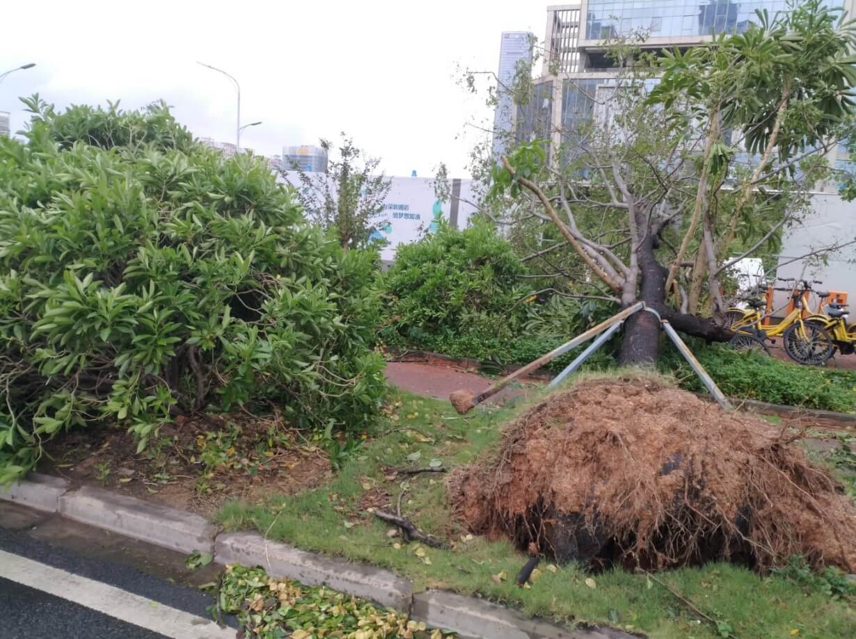 肥宅是如何度过台风——“山竹”的